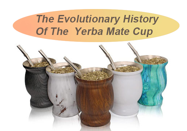 The Evolutionary History Of The Yerba Mate Cup