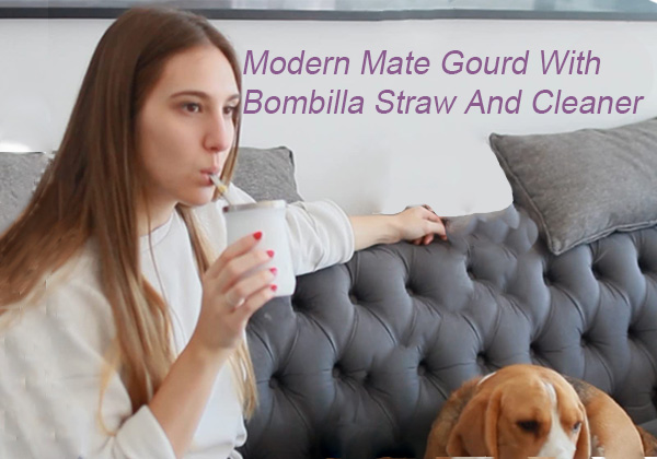 Modern Mate Gourd With Bombilla Straw And Cleaner