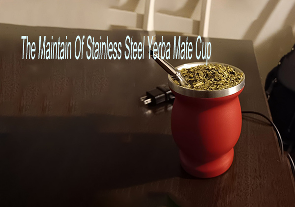 The Maintain Of Stainless Steel Yerba Mate Cup